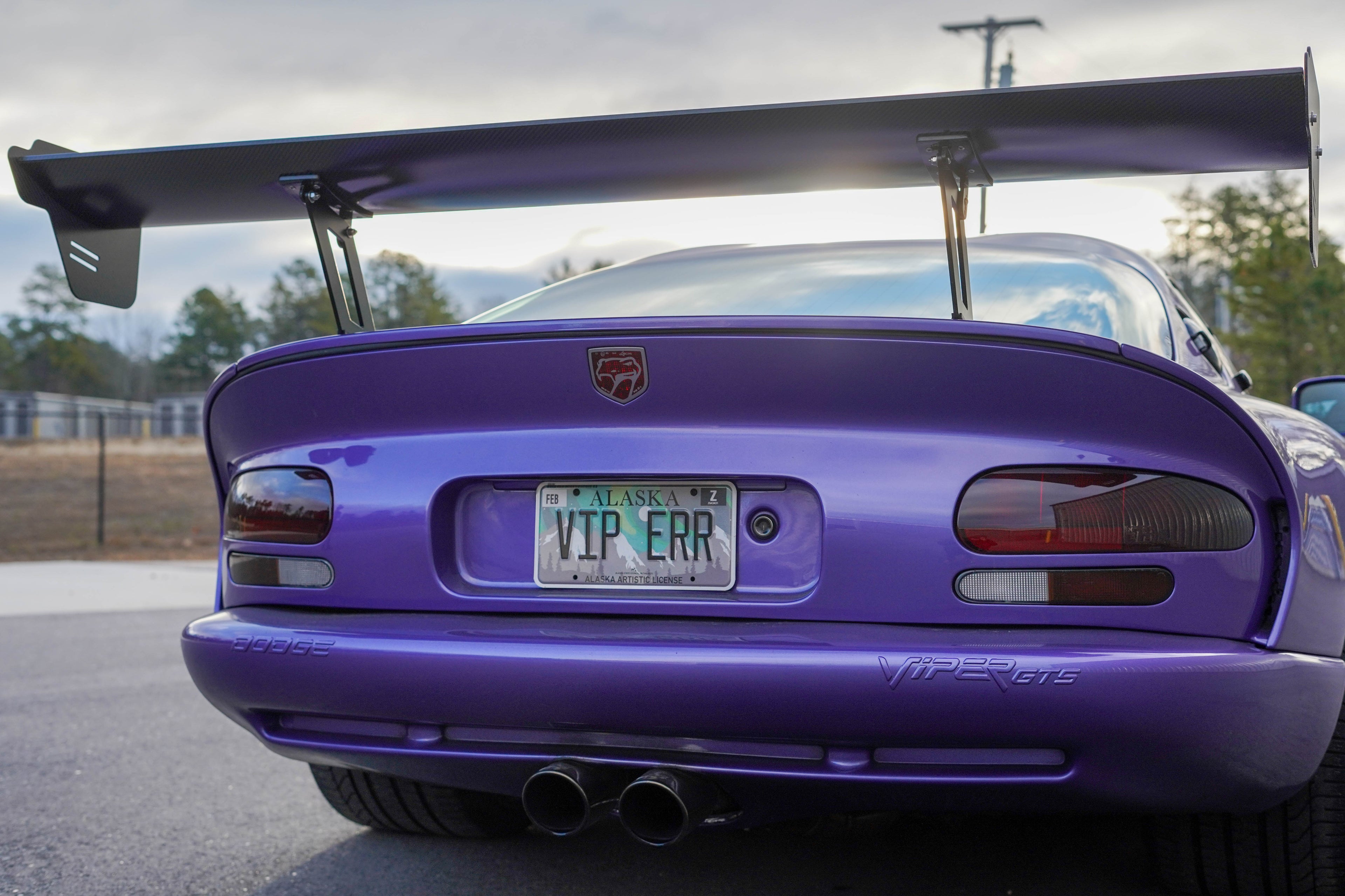 72’’ Wide Race Wing Viper GTS