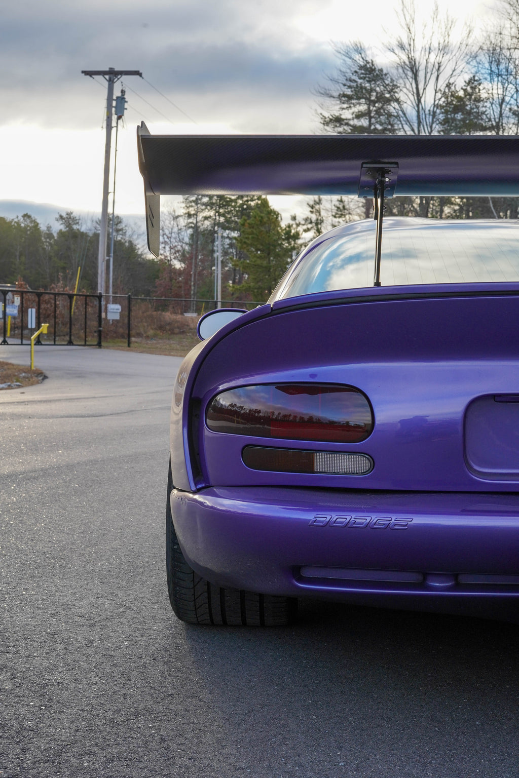 72’’ Wide Race Wing Viper GTS